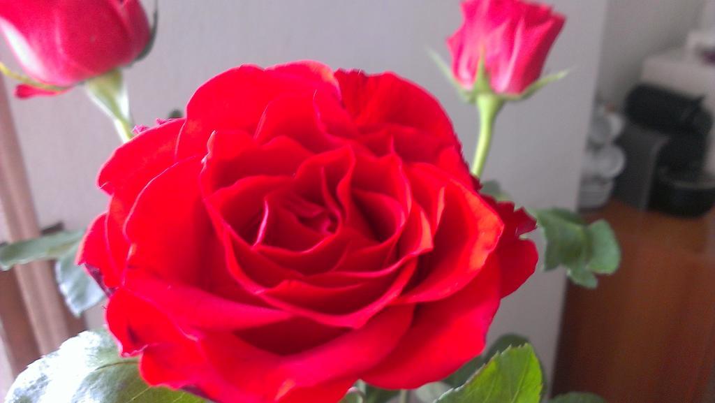 Bed & Breakfast Le Due Corti Milano